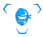 ninja